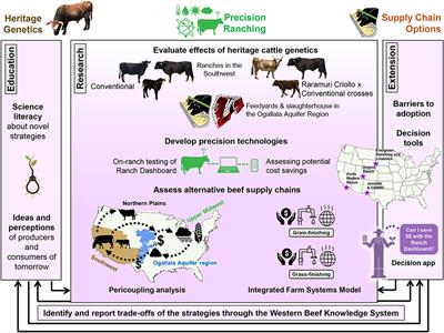 Frontiers | Beef Production in the Southwestern United States